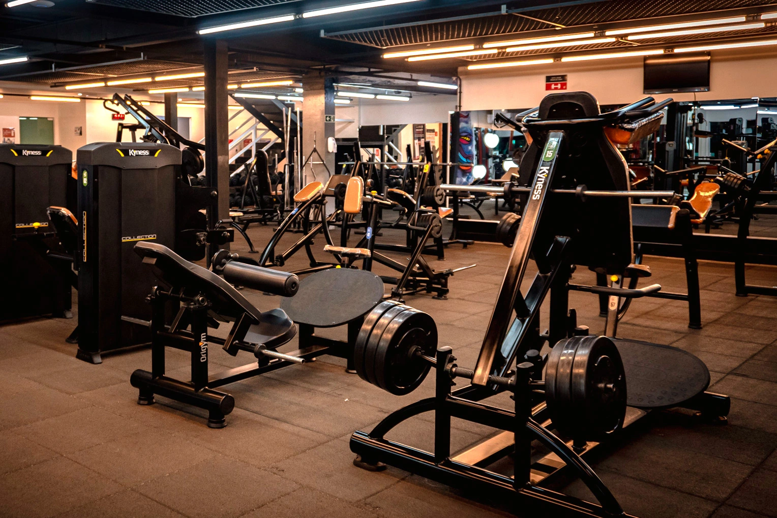 Fitness Life